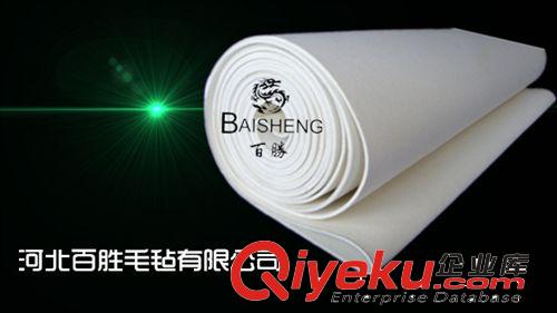 非織造布機(jī)械 工業(yè)過濾材料涂層拉幅定型機(jī) 高溫呢毯帶 架空式熱風(fēng)定型機(jī)原始圖片3