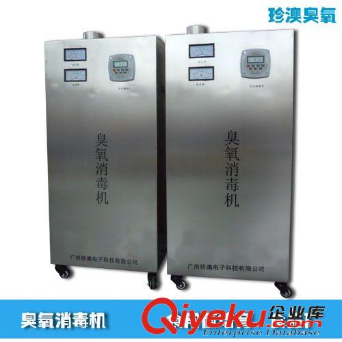 空氣凈化臭氧發(fā)生器 工業(yè)臭氧機(jī) 高濃度臭氧機(jī) 臭氧mj機(jī) 咖啡店xd設(shè)備 jd機(jī)20G