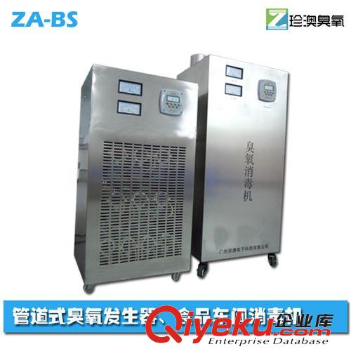 空氣凈化臭氧發(fā)生器 食品sj設(shè)備 臭氧發(fā)生器 臭氧消毒機(jī) 廣東廠價(jià)直銷 臭氧產(chǎn)量10G原始圖片3