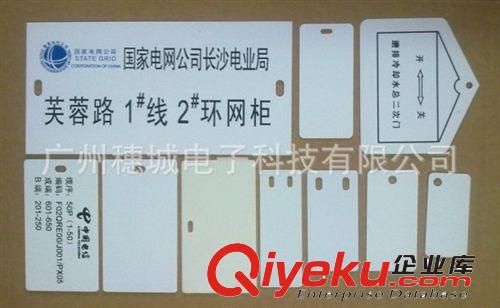 碩方標牌打印機耗材 PVC標識牌25*70單孔白色注塑PVC銘牌 標牌機掛牌 25*70MM電纜掛牌原始圖片2
