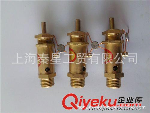 干洗水洗設(shè)備配件 蒸汽安全閥4分接口 干洗店設(shè)備 蒸氣發(fā)生器配件