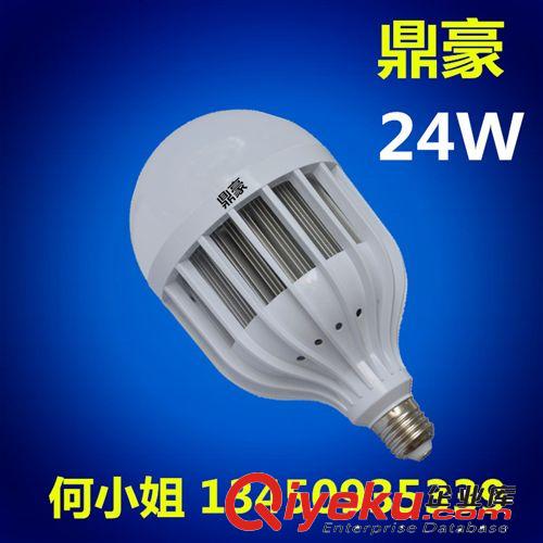 LED鸟笼球泡 批发  恒流带IC塑料球泡灯led球泡灯 带散热器LED24W大功率灯泡