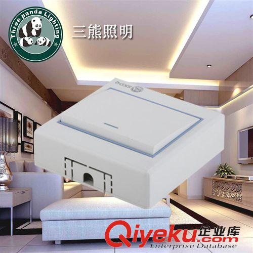 墻壁開關(guān) 廠家直銷 安全保障高品質(zhì)開關(guān) 盼盼A6.0系列二位墻壁開關(guān)