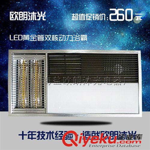 浴霸取暖系列 浙江嘉興集成吊頂廠家批發雙核動力多功能PTC取暖浴霸集成吊頂