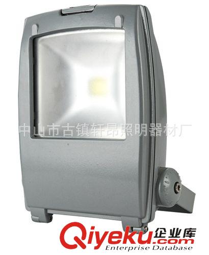 LED投光燈 70W LED集成投光燈 廠家直銷 噴泉燈 水底燈 LED園林景觀照明
