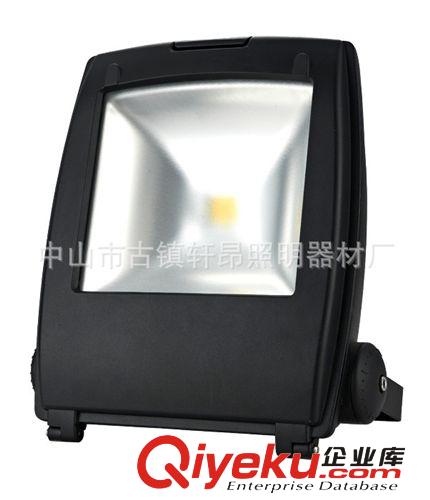 LED投光燈 70W LED集成投光燈 廠家直銷 噴泉燈 水底燈 LED園林景觀照明