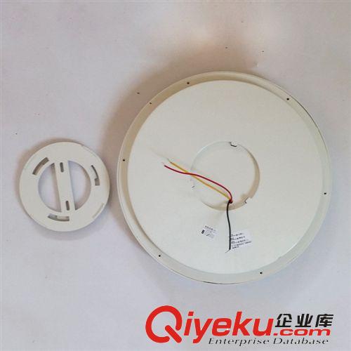 吸頂燈 現(xiàn)代簡(jiǎn)約 優(yōu)質(zhì)節(jié)能 18W聲光控lLED應(yīng)急吸頂燈 應(yīng)急必備原始圖片2