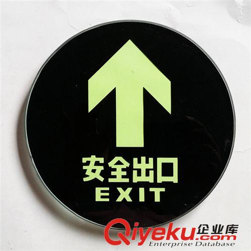 應(yīng)急疏散指示燈，吊牌燈 200mm圓形自發(fā)光地磚疏散指示 廠家直銷原始圖片3
