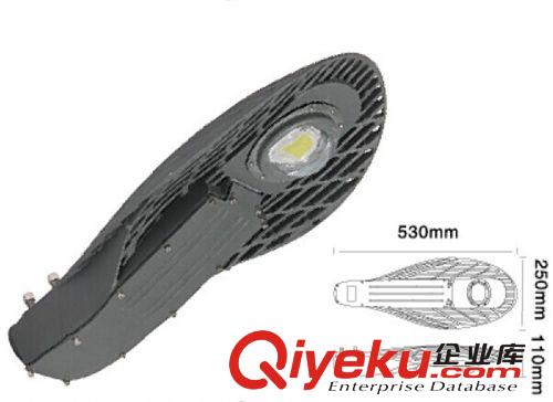 LED路燈 供應大功率集成路燈具，網球拍 30~100WLED燈具，