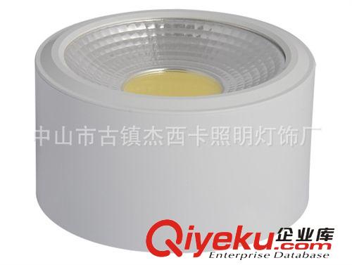 LED明裝筒燈 廠家直銷 cob高亮LED筒燈 led筒燈10w TDM-A003