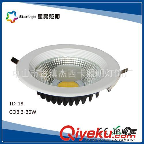 LED筒灯 TD-18 30COB筒灯 8寸 30W酒店射灯 服装店商铺射灯 LED筒灯