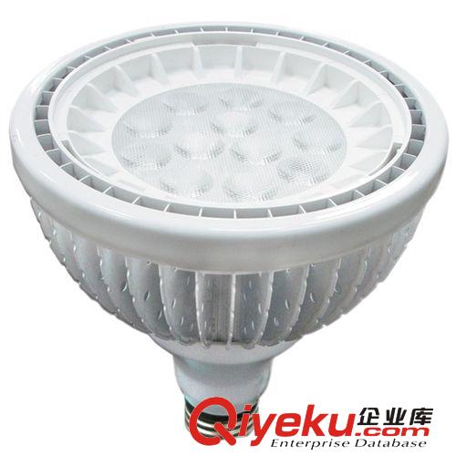 鰭片式燈杯套件 18-25W  LED  PAR38燈具外殼套件,E27燈頭,20,40,60三種角度任選