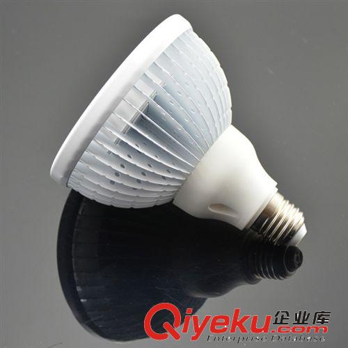 LED 鰭片燈具 PAR38,18WW-E27-,25度透鏡組 商業(yè)照明