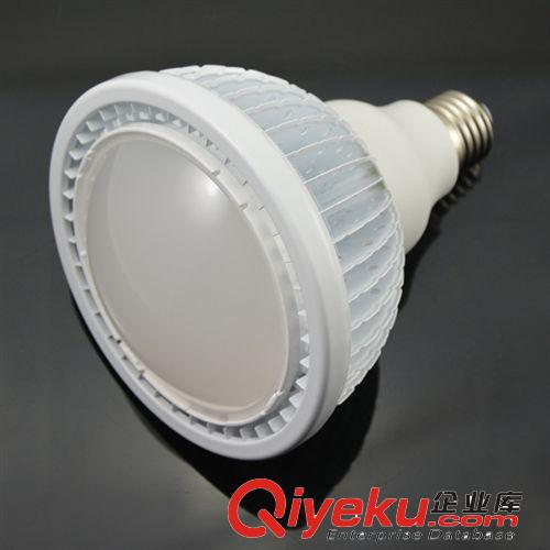 LED 鰭片燈具 PAR38,18WW-E27-,25度透鏡組 商業(yè)照明