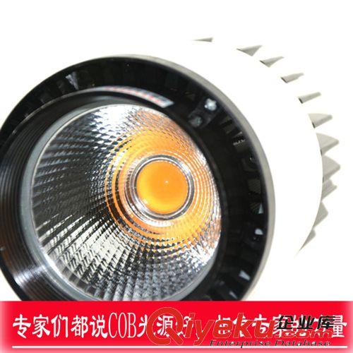 LED COB軌道燈 供應色溫暖白光正白光LED軌道燈歡迎咨詢  M