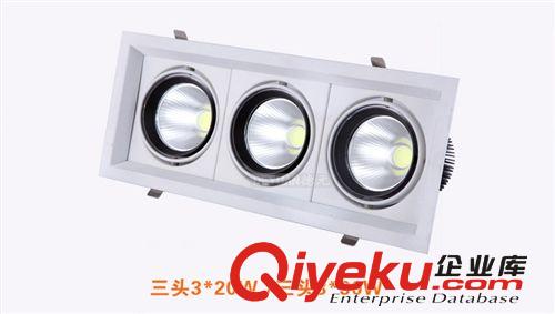 LED室內照明 COB豆膽燈20W 30Wled格柵豆膽燈  單頭 雙頭 三頭原始圖片2