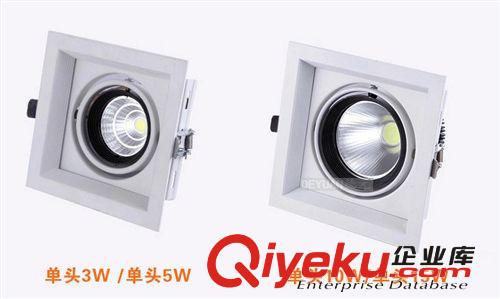 LED室內照明 COB豆膽燈20W 30Wled格柵豆膽燈  單頭 雙頭 三頭原始圖片3
