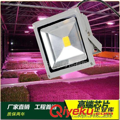 LED投光燈/射燈 投光燈150W 100W led投射燈 高亮聚光 防水耐高溫 質保三年