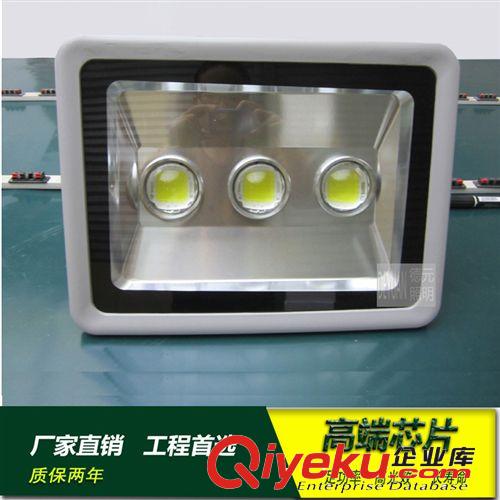 LED投光燈/射燈 100w投光燈100W  led泛光燈 防水節(jié)能 耐高熱 廣告燈