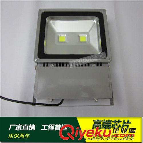 LED投光燈/射燈 新款 大笨熊LED投光燈200W 100W 70W 30W  出口品質(zhì)
