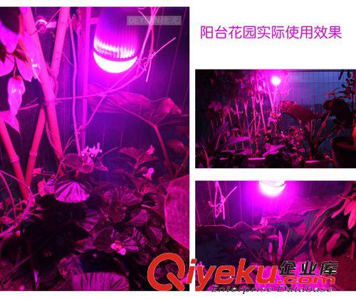 其他 植物燈7W12W24W 紅藍 植物補光燈 冬季 園藝 植物 蔬果養護專用