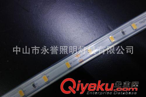 商业照明灯具 LED低压贴片柔性灯带原装三星5630 48珠24V  硅胶管工艺双面白板