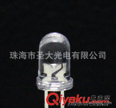 零光衰直插LED系列 F5圓頭白光二極管 5mm圓頭白光燈珠 圓頭聚光LED 15-60°角