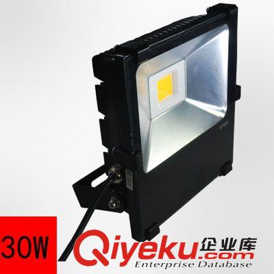 LED泛光燈 廠家批發(fā)靈創(chuàng)品牌LED投光燈 30W led投光燈 高亮泛光燈