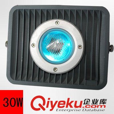 LED泛光燈 廠家熱銷新款高品質LED投光燈50W 高亮大功率led投光燈 多款任選原始圖片2