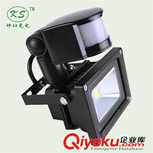 LED投光燈 LED人體感應 投光燈感應泛光燈紅外線投射戶外防水10W20W30W50W原始圖片3