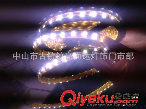 室內商業照明燈具 最暢銷低壓防水軟性燈條原始圖片2