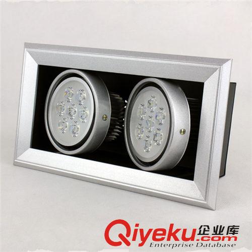 豆胆灯/格栅灯 供应优质 2*7W LED豆胆灯 双头14W格栅灯射灯 以品质求发展