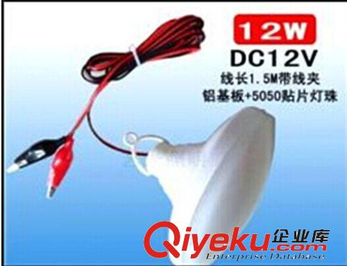 LED 12V 24V 36V 48V 60V 12V led 直流電壓 30W 球泡 燈帶 1.5米 線 鱷魚夾 太陽能 節能燈原始圖片2