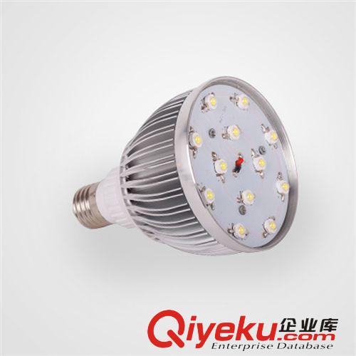 LED球泡燈 廠家直銷 LED球泡燈 LED節能燈 12W球泡燈 LED貼片球泡節能燈原始圖片2