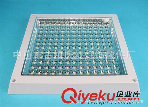 LED廚衛燈 玻璃面系列 熱銷產品  LED廚衛燈   2835