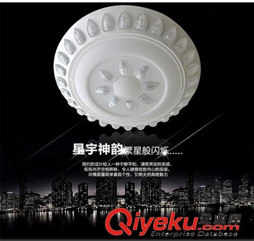 LED吸頂燈 熱銷現代簡約LED圓形吸頂燈鐵藝燈客廳燈臥室燈照明燈具廠家批發