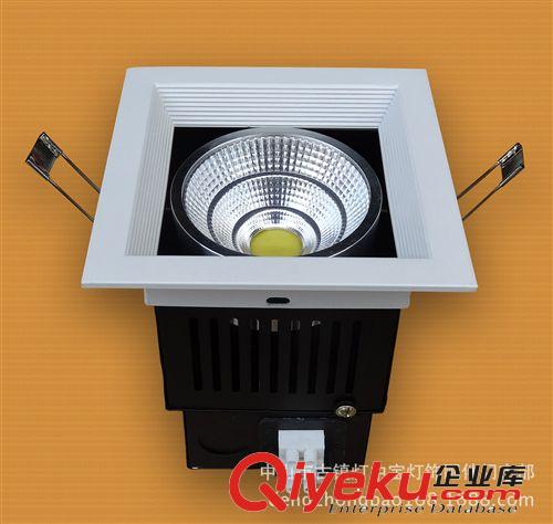 下午2.00分發布 應COB斗膽燈，COB豆膽燈外殼，COB豆膽燈及配件,COB格柵原始圖片3