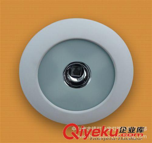 上午11.00分發(fā)布 產(chǎn)銷：可旋轉(zhuǎn)LED投光燈外殼/工程 /轉(zhuǎn)角筒燈/COB象鼻燈/LED天花燈原始圖片2