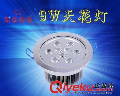 天花燈 沙銀單顆 天花燈 9W