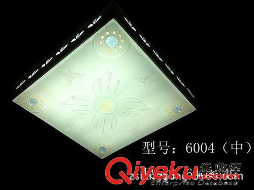 LED平板鐵藝燈 LED5730鐵藝+亞克力 家居客廳燈 臥室燈【現(xiàn)貨】