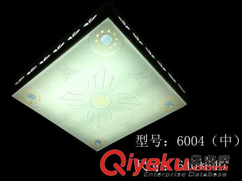 LED平板鐵藝燈 LED5730鐵藝+亞克力 家居客廳燈 臥室燈【現(xiàn)貨】