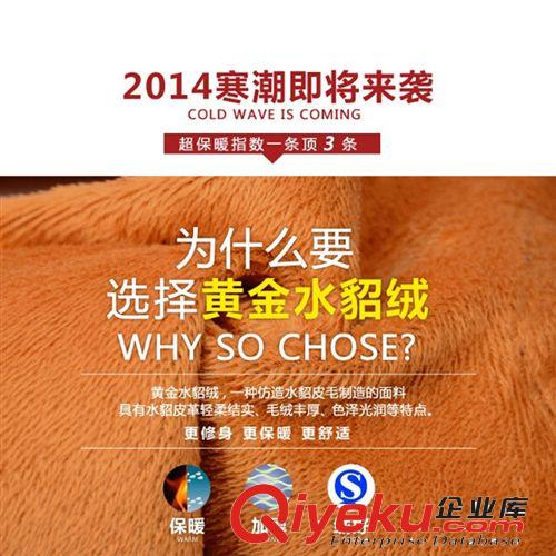 加絨加厚 2014冬季新女裝韓版加絨加厚彩色鉛筆褲小腳長(zhǎng)褲水貂絨打底牛仔褲原始圖片2