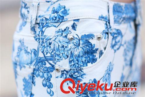 花褲子 2014潮流碎花款女式牛仔褲9色任選  一件代發(fā)1103原始圖片2