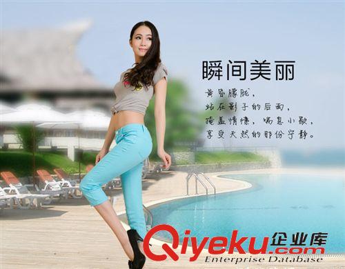 中褲 廠家直銷2014新爆款夏季韓版大碼修身糖果色純棉顯瘦七分打底女褲原始圖片2