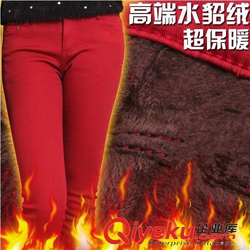 冬季保暖 冬季韓版新款加絨加厚彩色鉛筆褲顯瘦水貂絨糖果色彈力小腳打底褲
