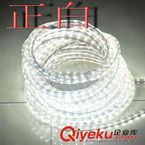 LED燈帶 一米60珠防電防水高壓5050LED貼片燈帶 柔性 軟燈條220v廠家直銷