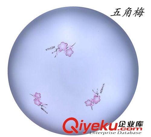 LED吸頂燈 廠家直銷三色調光LED圓形賓朗簡約印花吸頂燈適用于客廳臥室陽臺