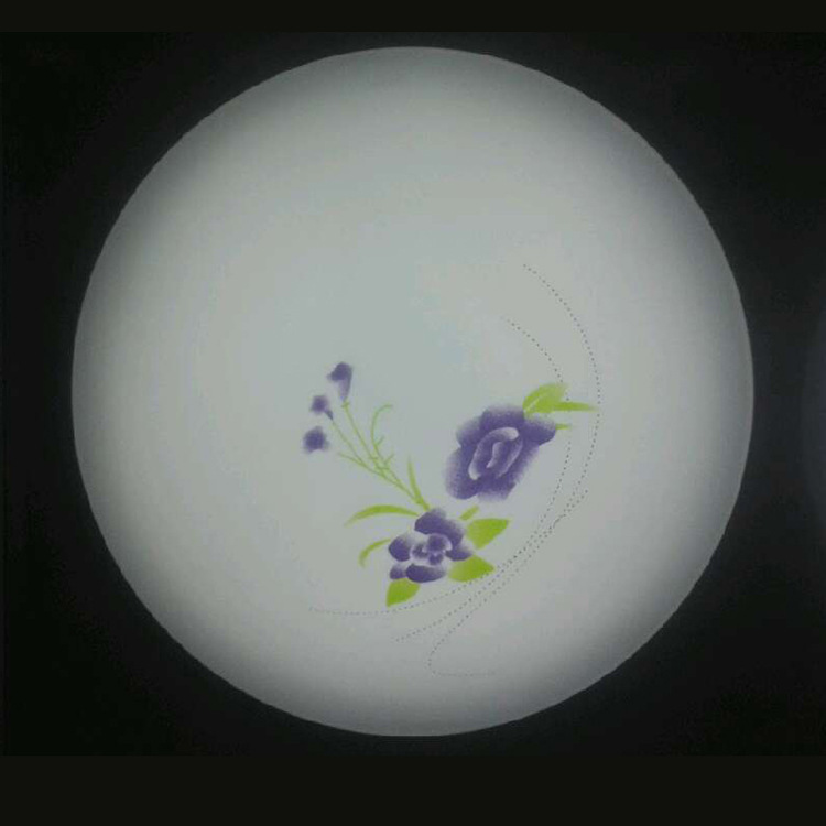 豪菲燈LED吸頂燈 廠家批發(fā)LED燈 C-31
