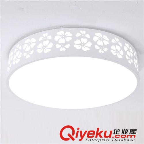 客廳臥室現(xiàn)代簡約 歐式吸頂燈玄關(guān)燈兒童卡通圓形燈飾燈具1009原始圖片3