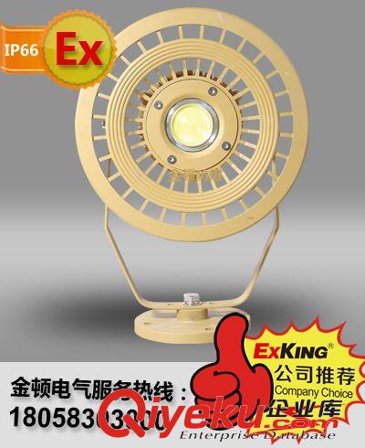 大功率LED防爆燈具，LED防爆投光燈，防爆LED投光燈，IIC防爆燈具